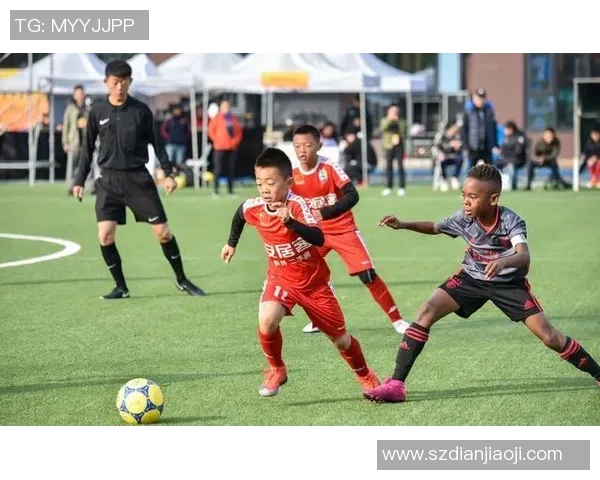 追寻足球梦想的明星名字全解析与推荐